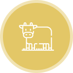 Животноводство